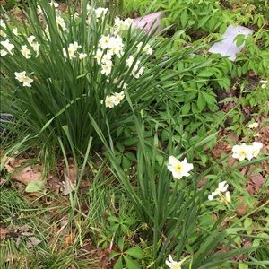 Meet your Posher, Paula